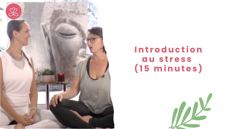 Jour 1 - Introduction au stress (15 minutes)